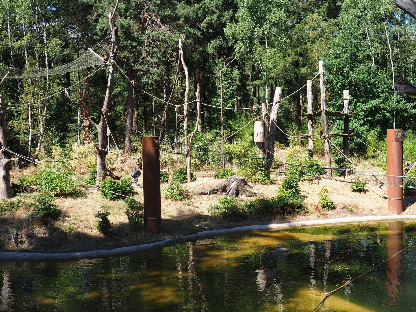 Yellow-breasted capuchin exhibit