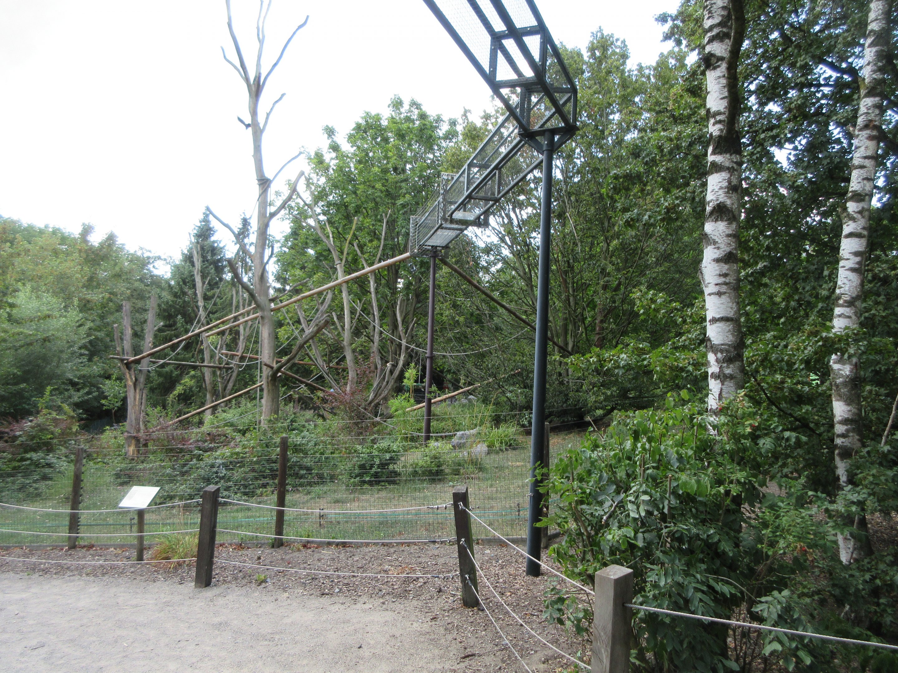 Yellow-breasted Capuchin Exhibit