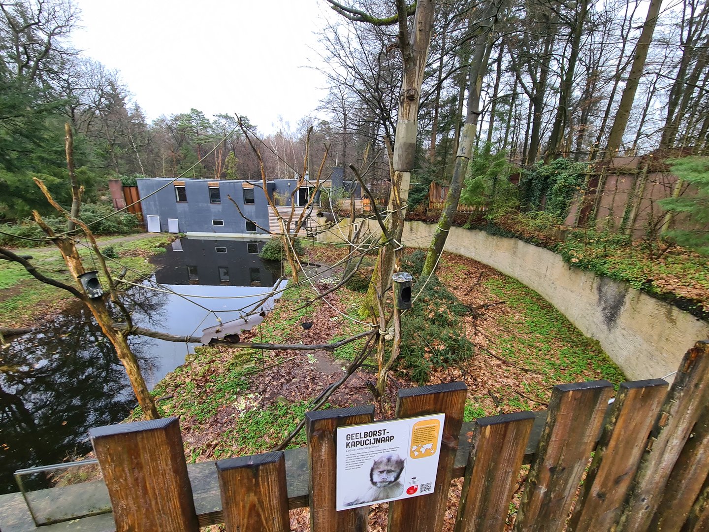 Yellow-breasted capuchin exhibit