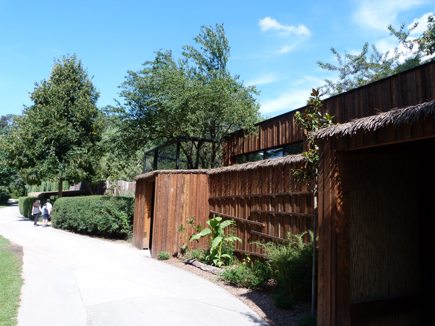 Yellow-breasted capuchin house -Zoo Praha (2025)