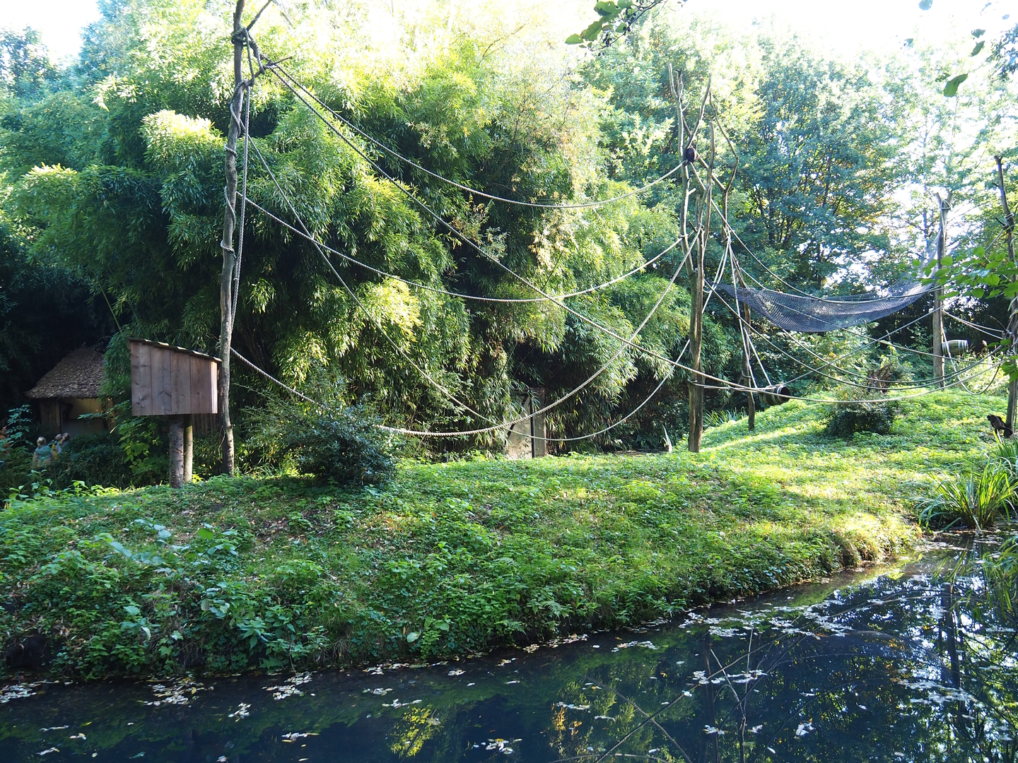 Yellow-breasted capuchin island, 2022-10-09