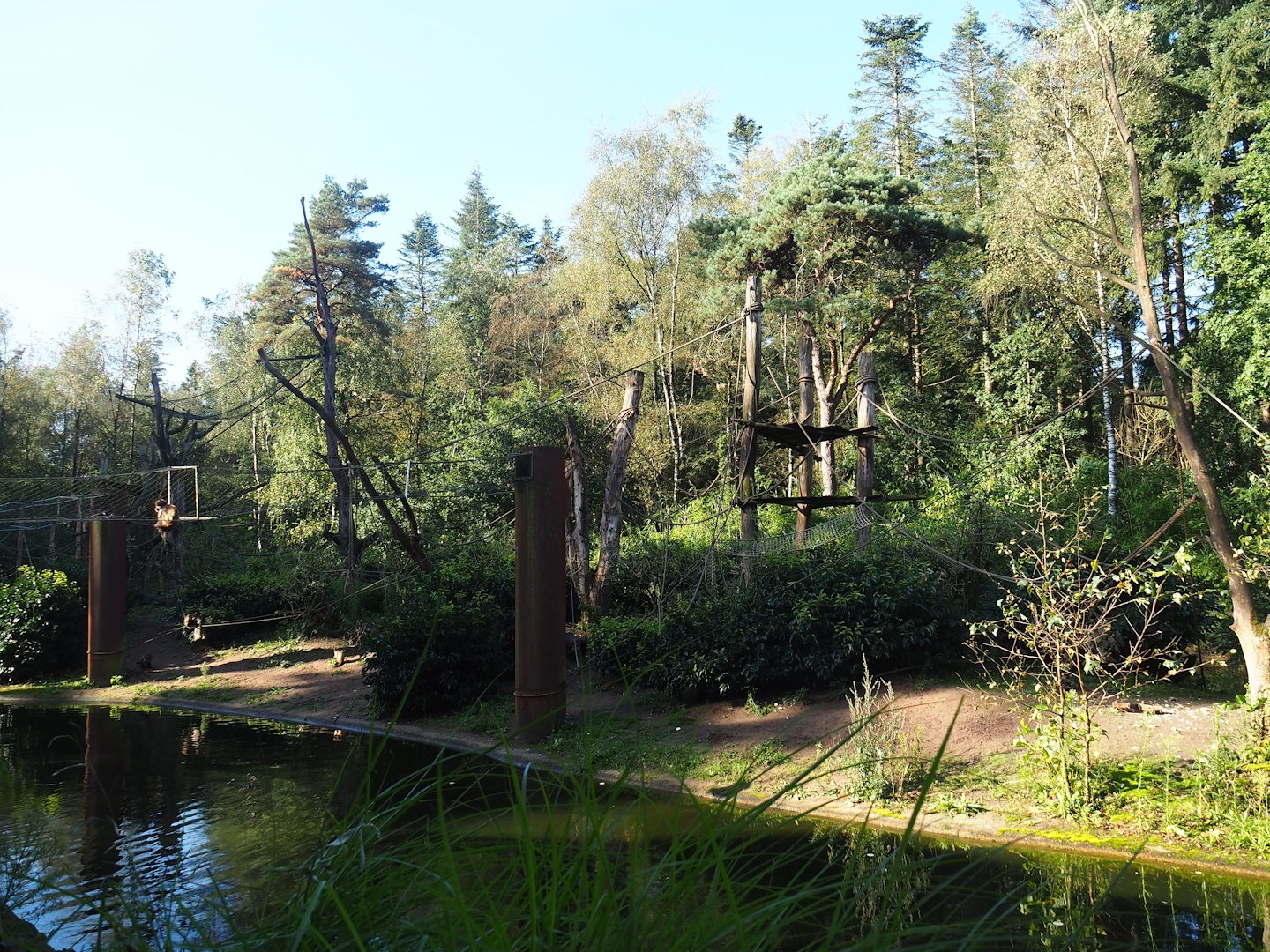 Yellow-breasted capuchin island, 2023-09-24
