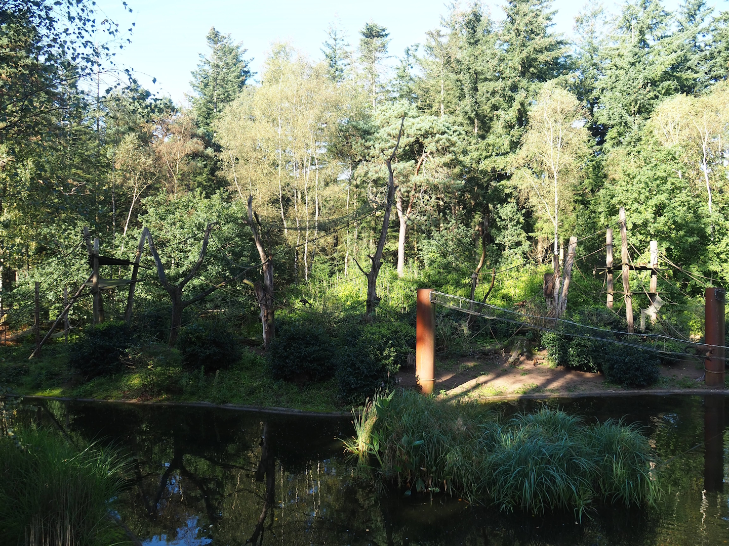 Yellow-breasted capuchin island, 2023-09-24