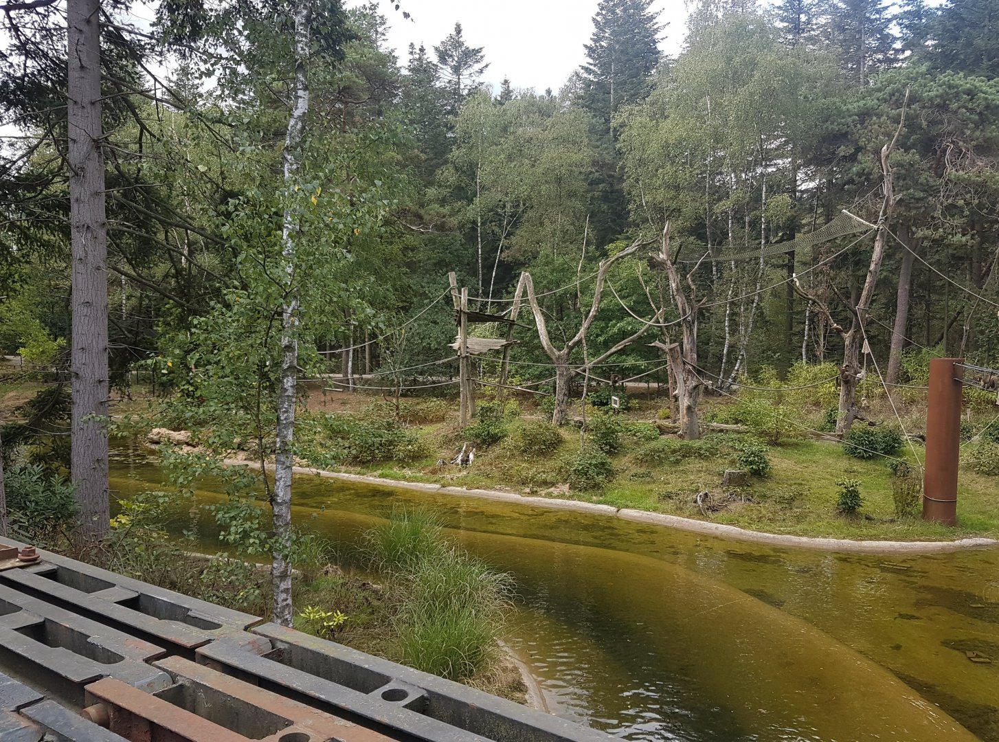 Yellow-breasted capuchin island