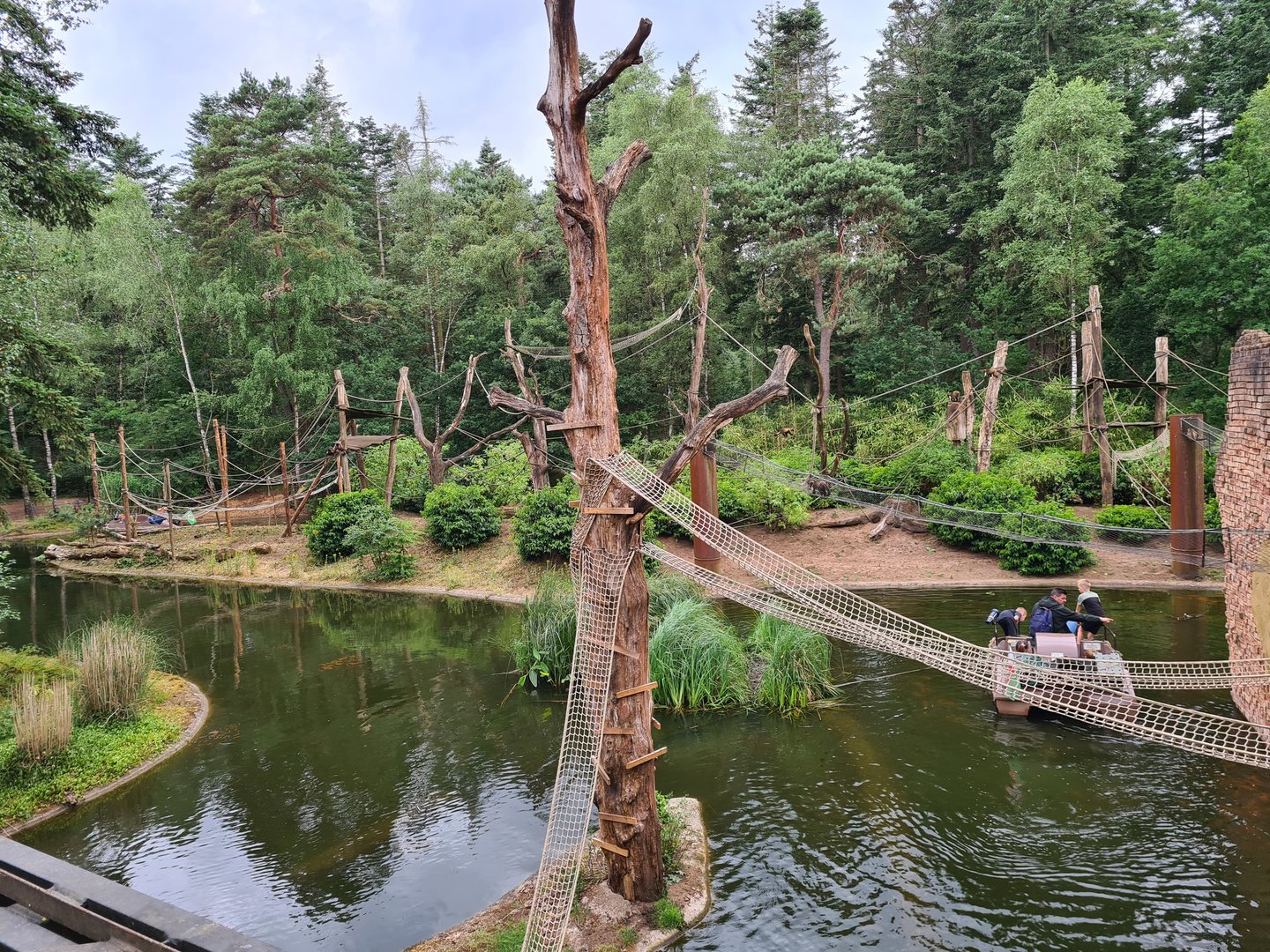 Yellow-breasted capuchin monkey island