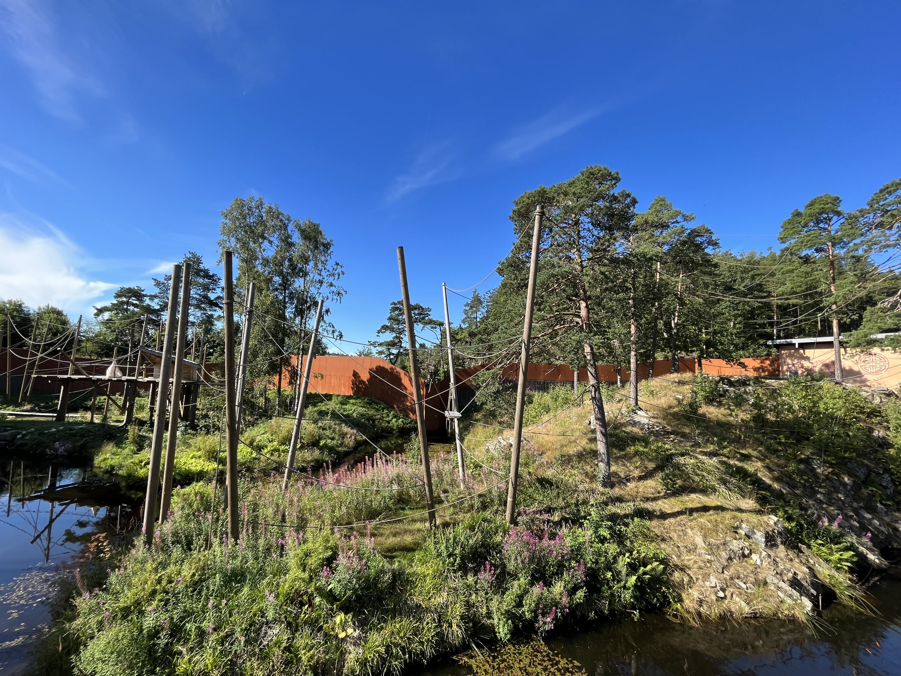 Yellow-cheeked Gibbon Exhibit