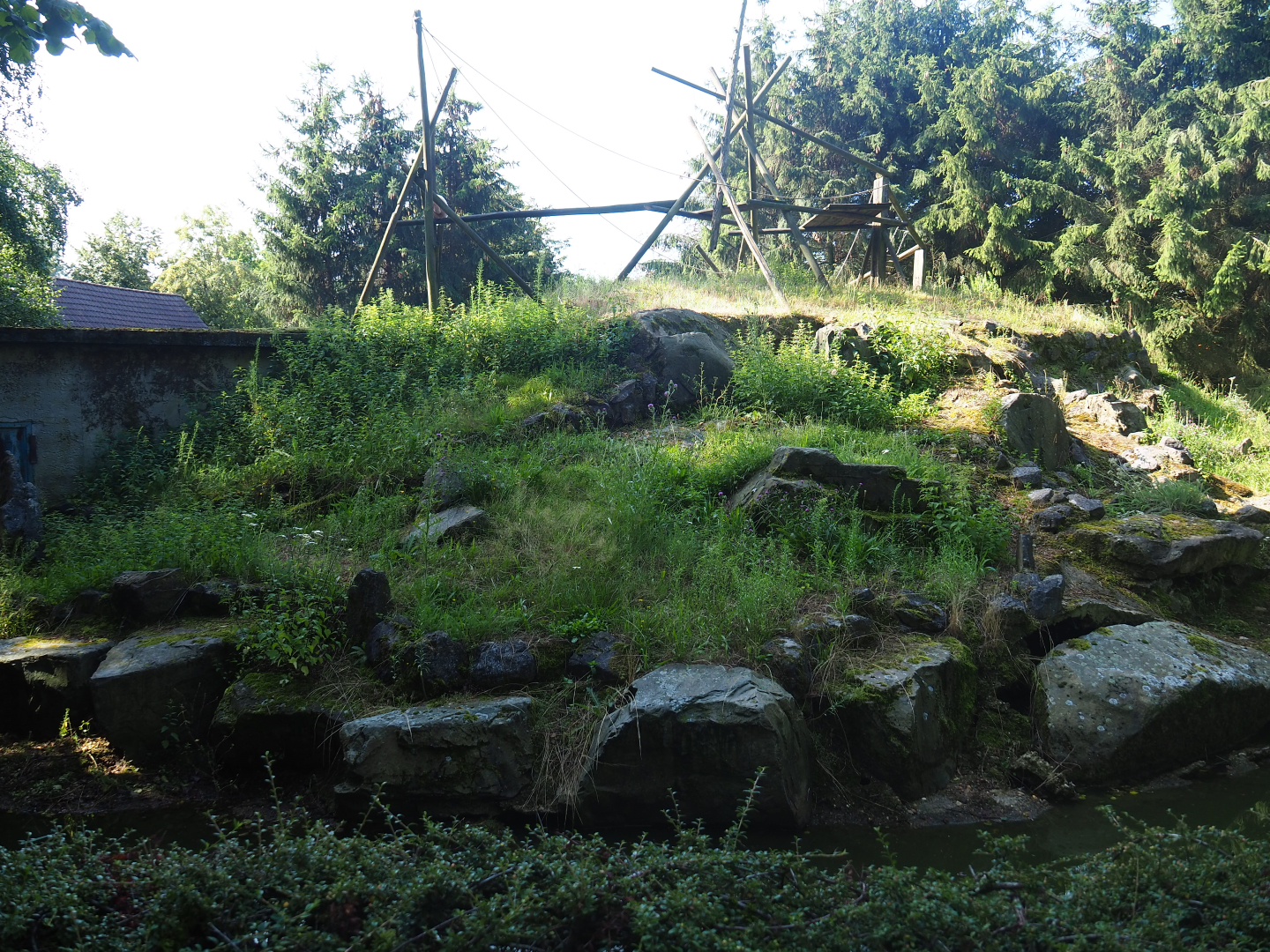 Yellow-cheeked gibbon island, 2019-08-11