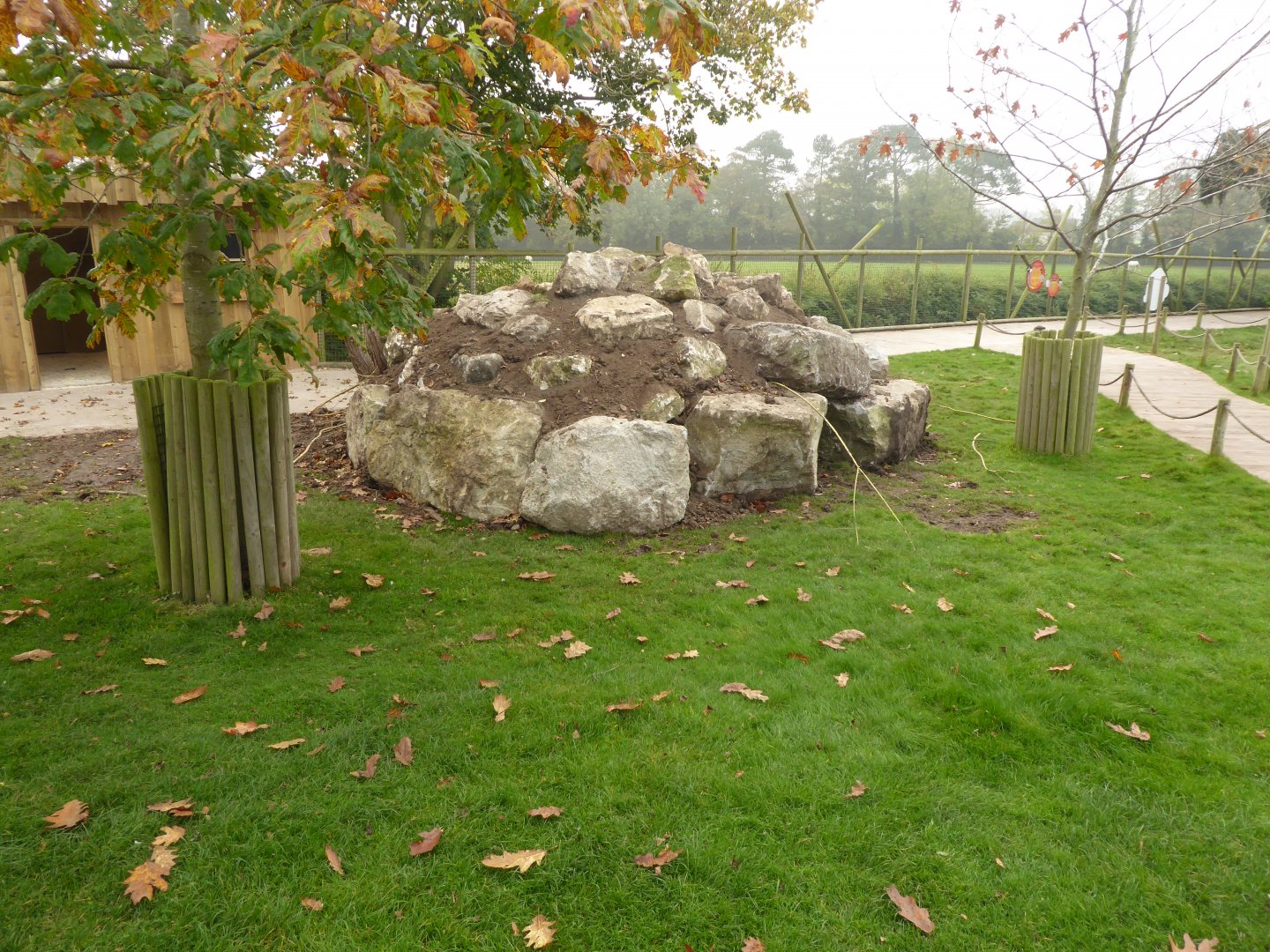 Yellow-footed Rock Wallaby area, 16th October 2017