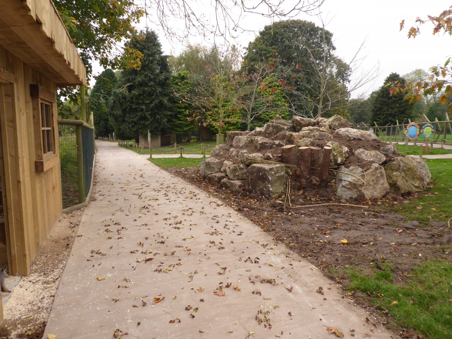 Yellow-footed Rock Wallaby area, 16th October 2017