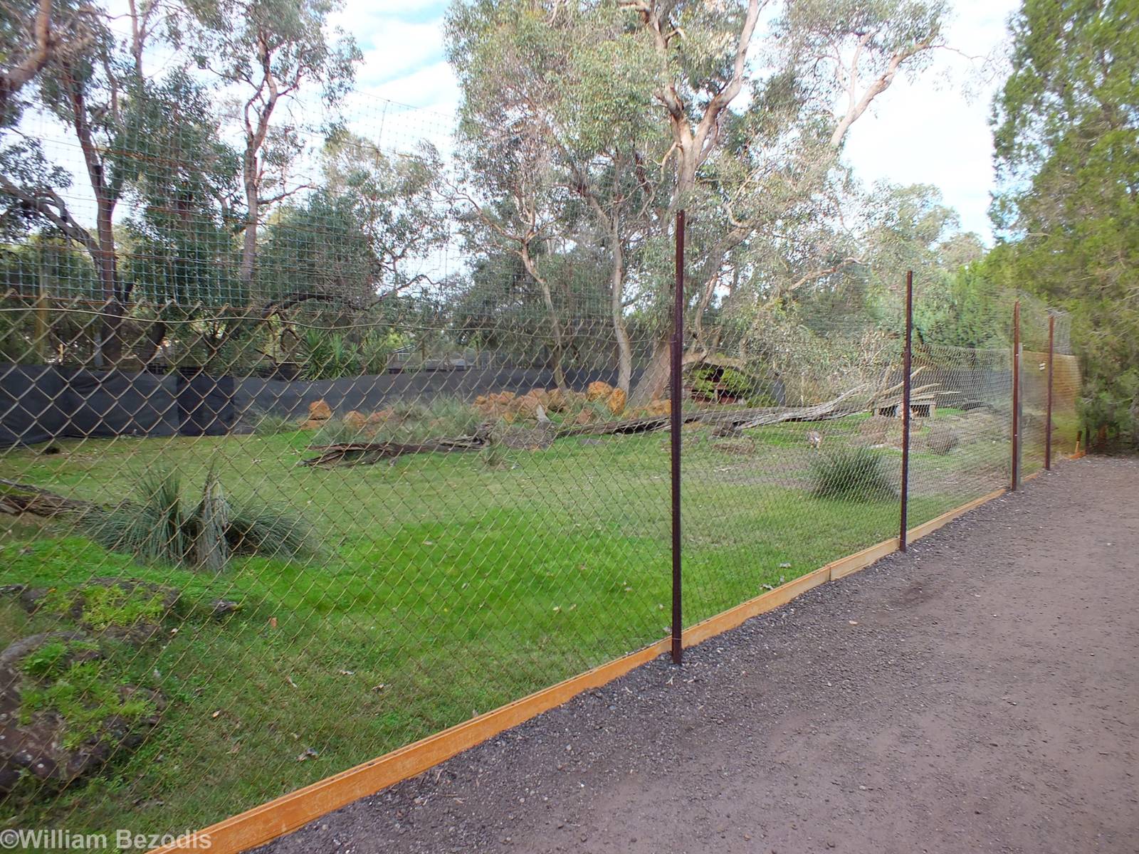 Yellow-footed Rock-wallaby Enclosure - Caversham Wildlife Park