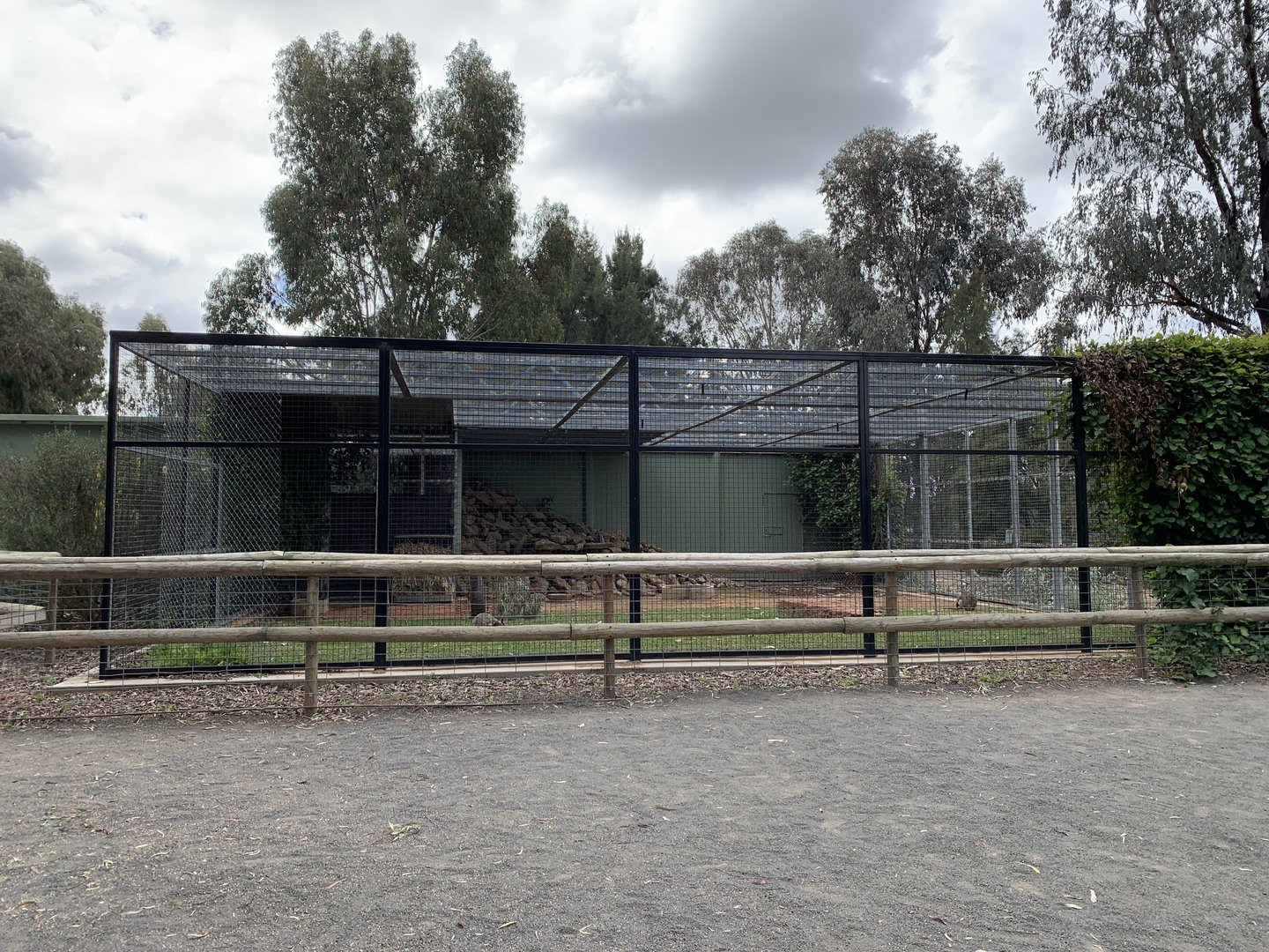 Yellow-footed Rock Wallaby Enclosure