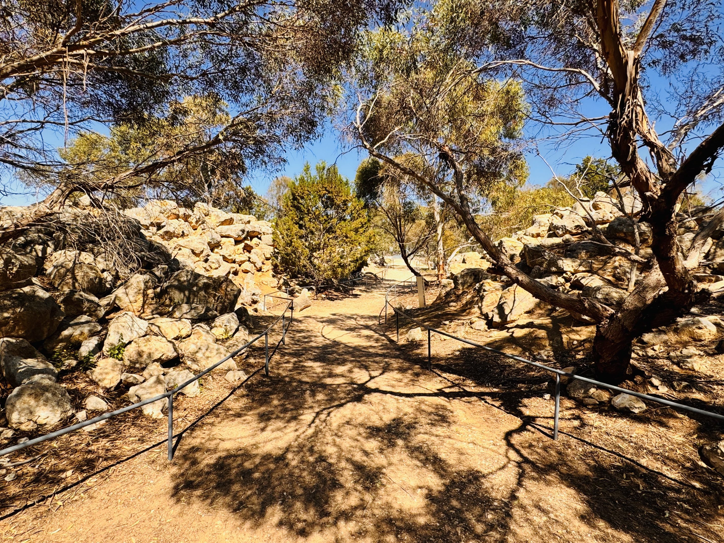 Yellow-footed rock wallaby enclosure