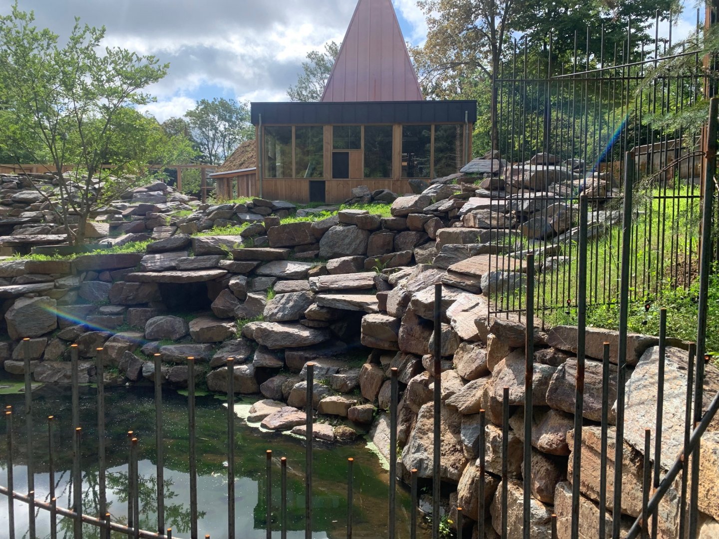 Yellow-footed Rock Wallaby enclosure
