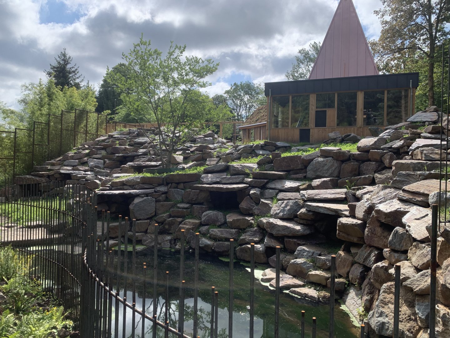 Yellow-footed Rock Wallaby enclosure