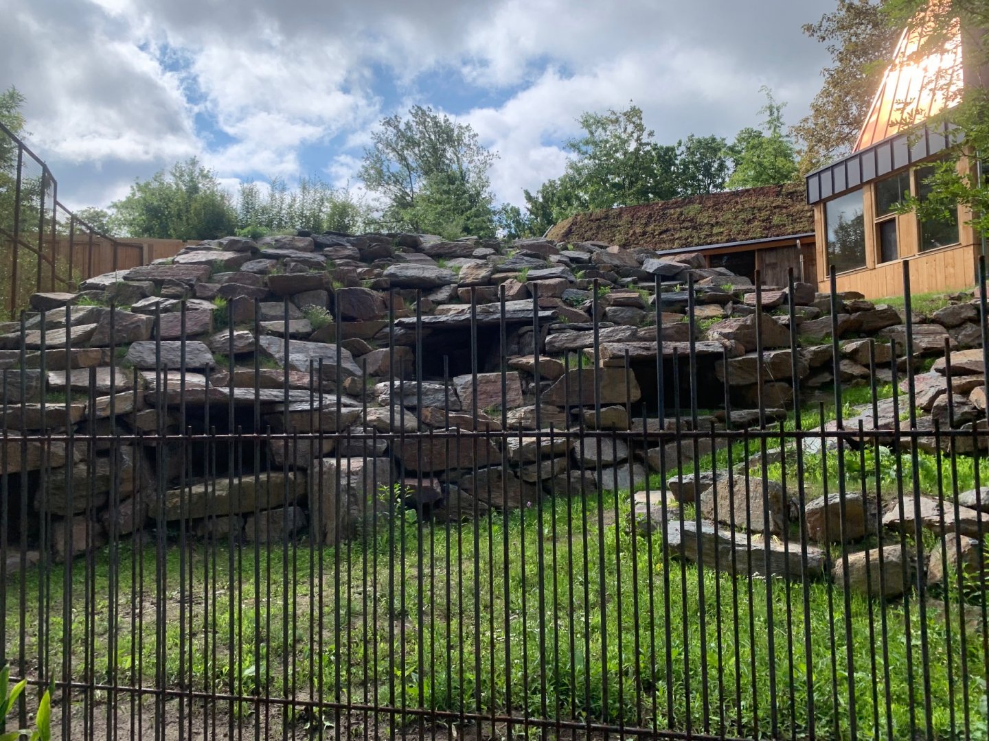 Yellow-footed Rock Wallaby enclosure