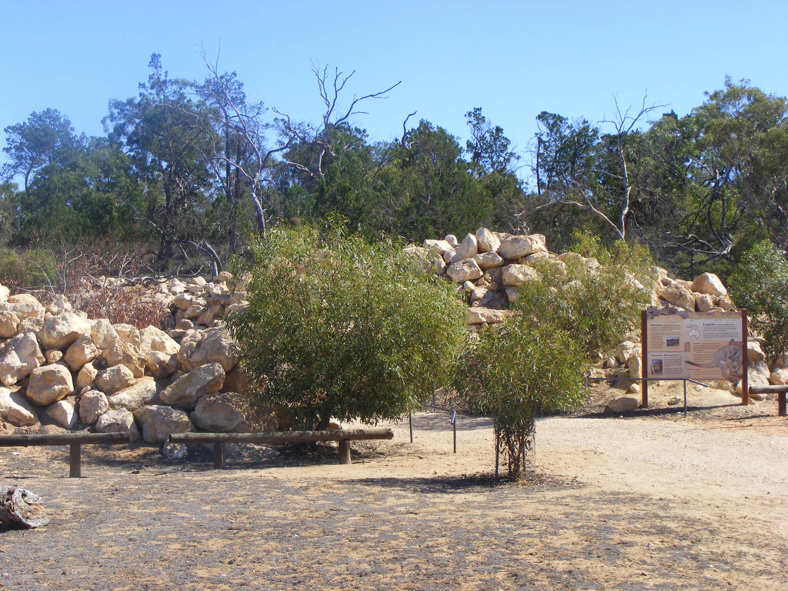 Yellow-footed Rock-wallaby Exhibit - April, 2010