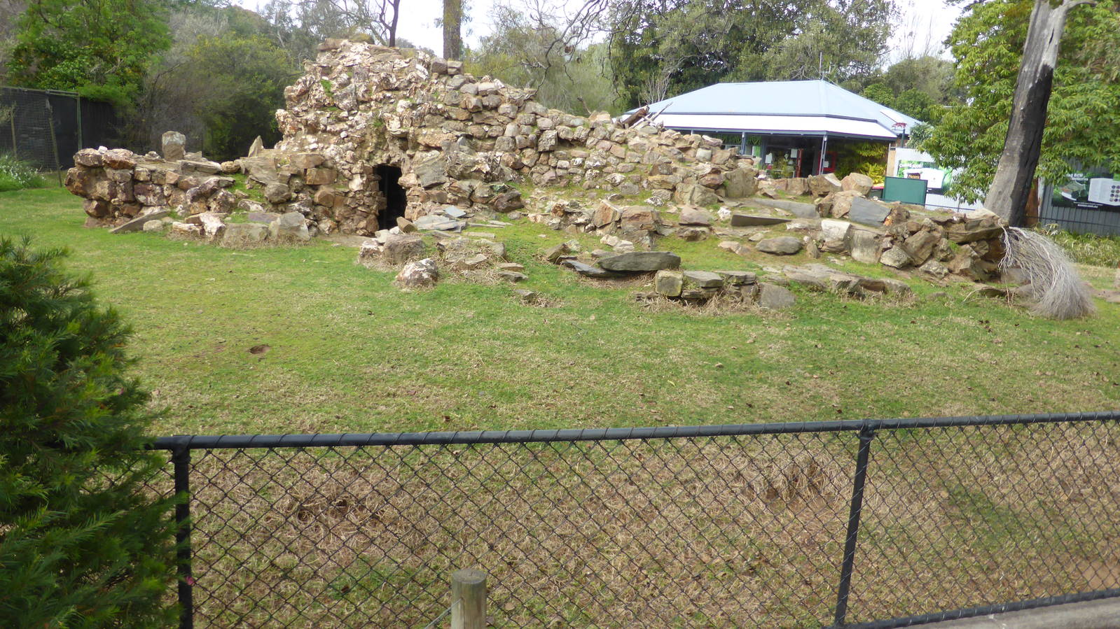 Yellow-footed Rock Wallaby exhibit