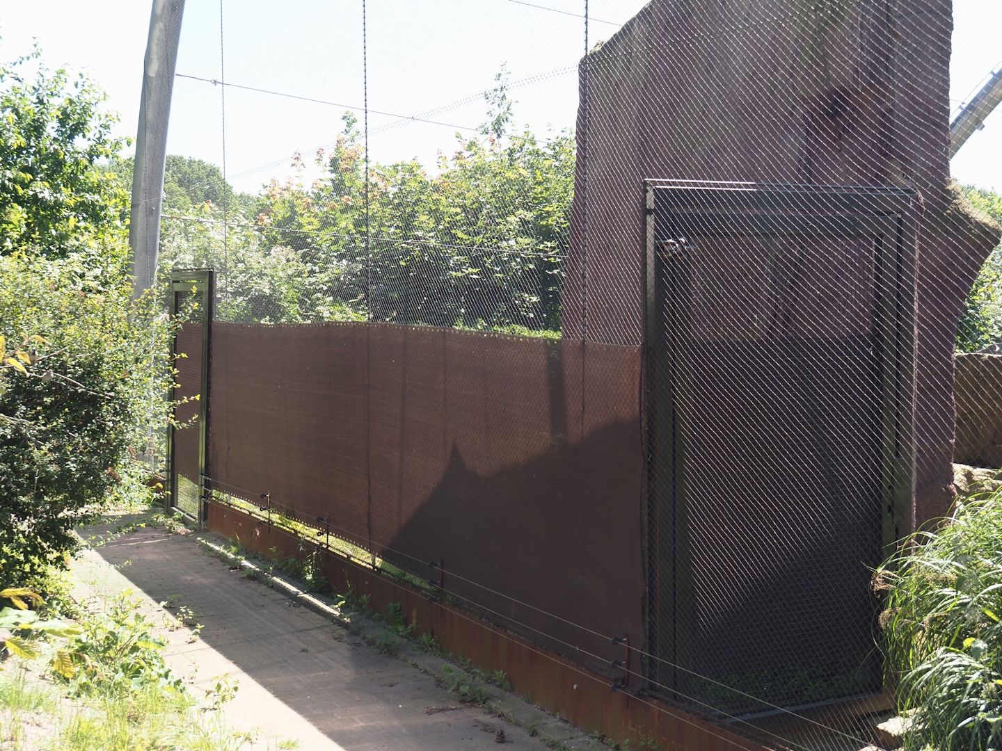 Yellow-footed rock wallaby holding area, 2024-06-08