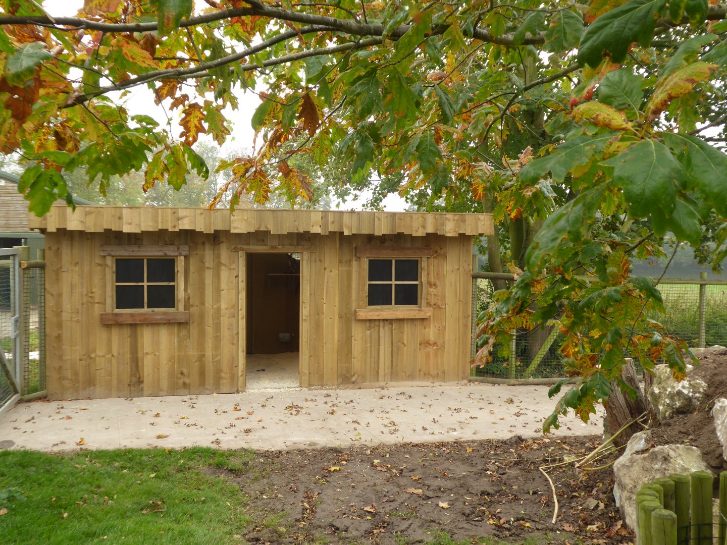 Yellow-footed Rock Wallaby shelter, 16th October 2017