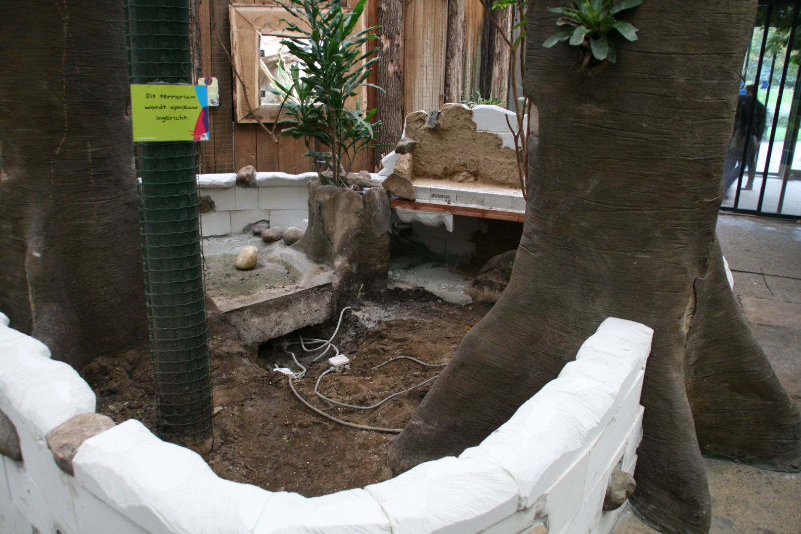 Yellow footed tortoise enclosure under constuction