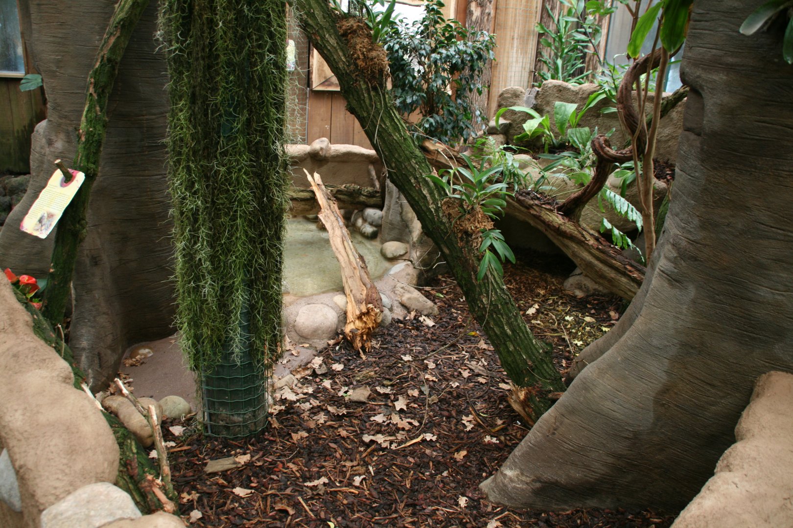 Yellow-footed tortoise enclosure