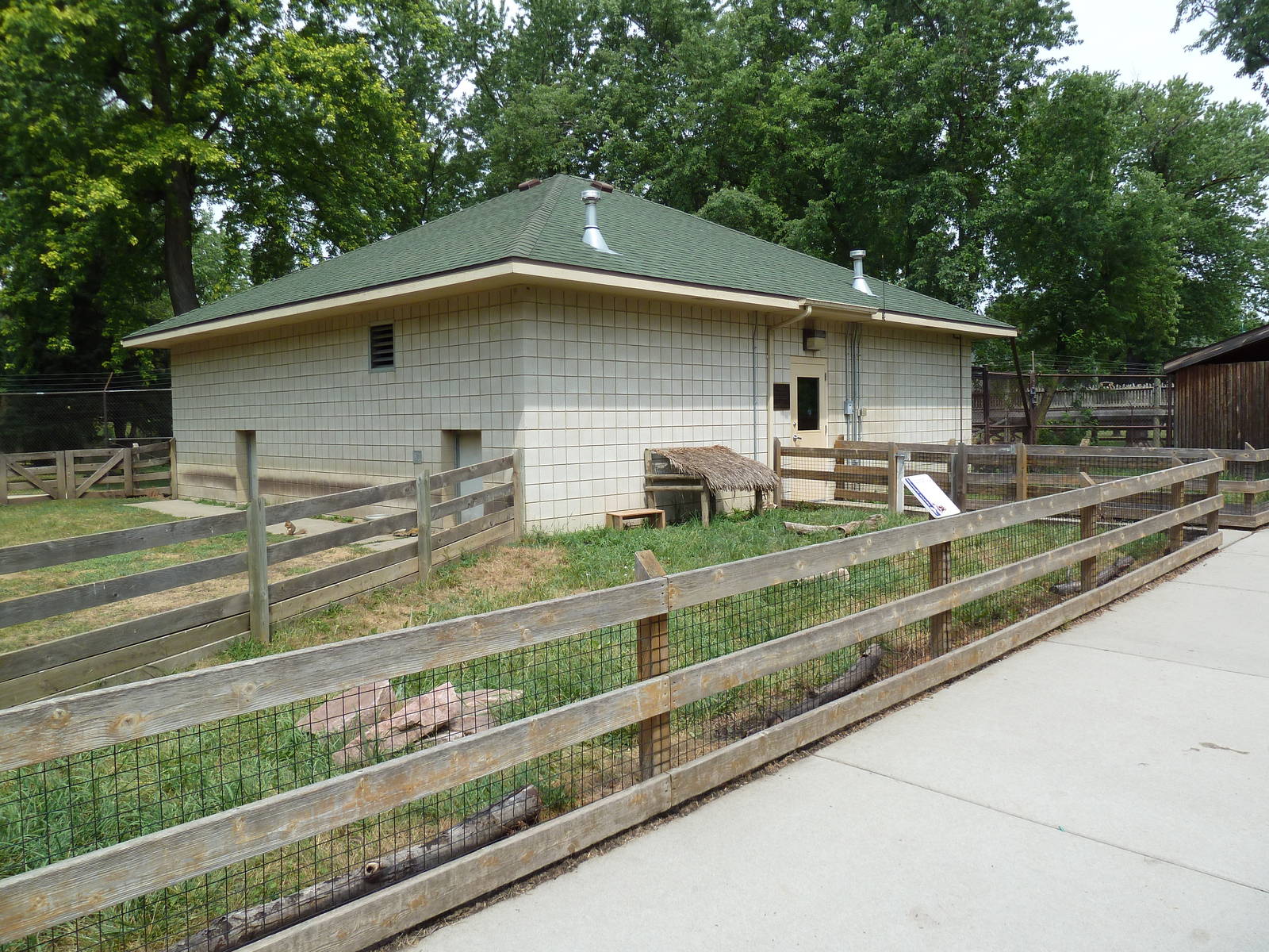 Yellow-Footed Tortoise Exhibit (In the African Section)