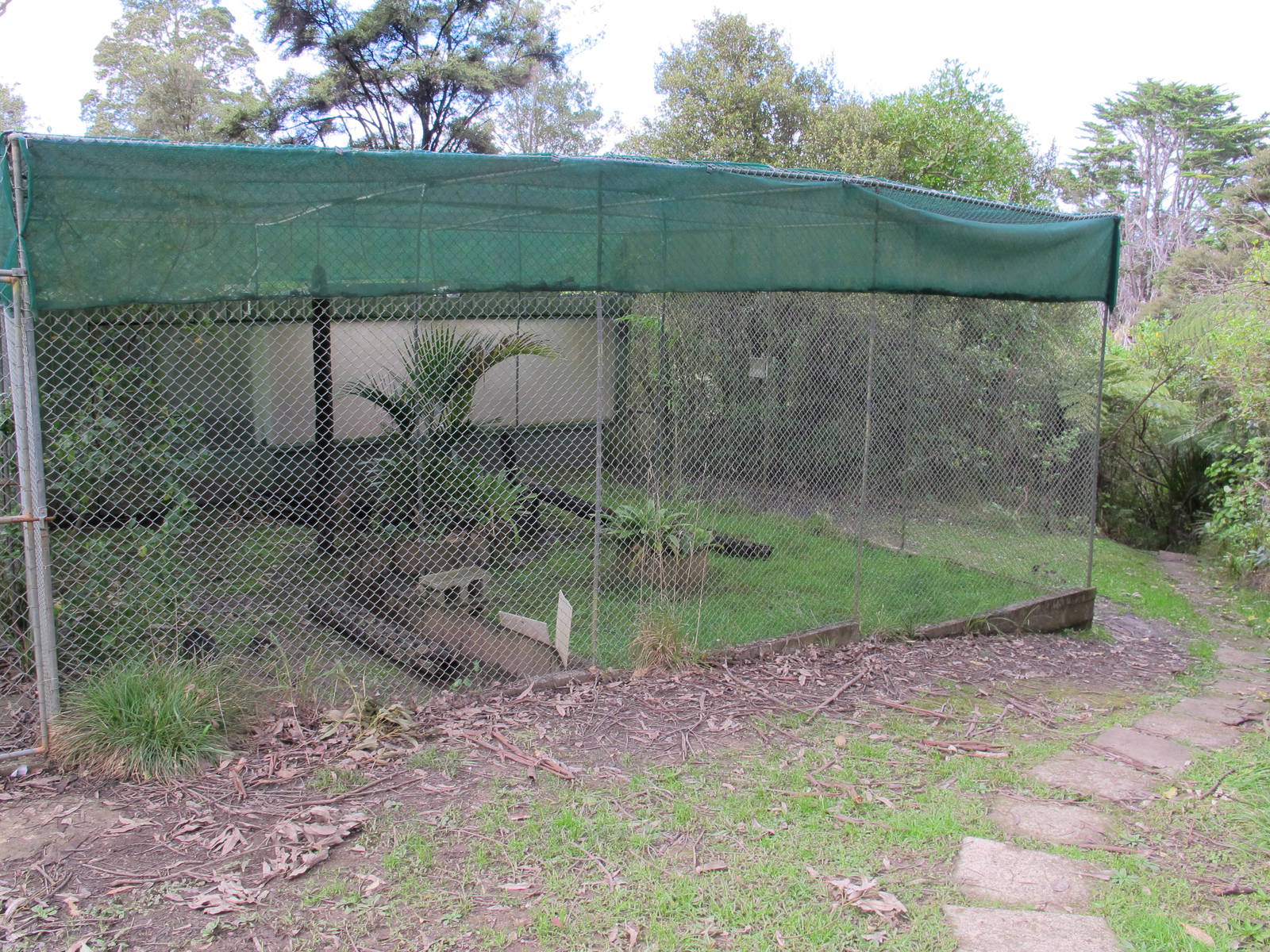 Yellow-Footed Tortoise Exhibit - Ti Point Reptile Park 2011
