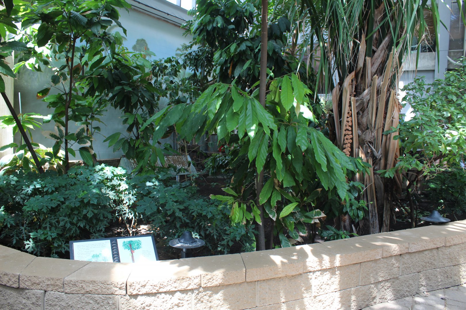 Yellow-Footed Tortoise Exhibit - Tropical Discovery