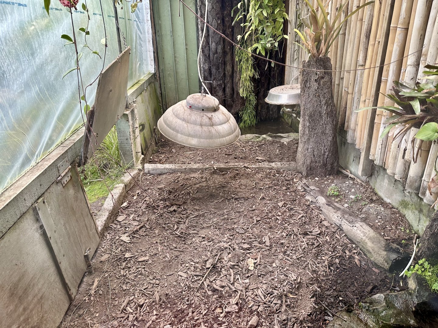 Yellow-footed Tortoise House