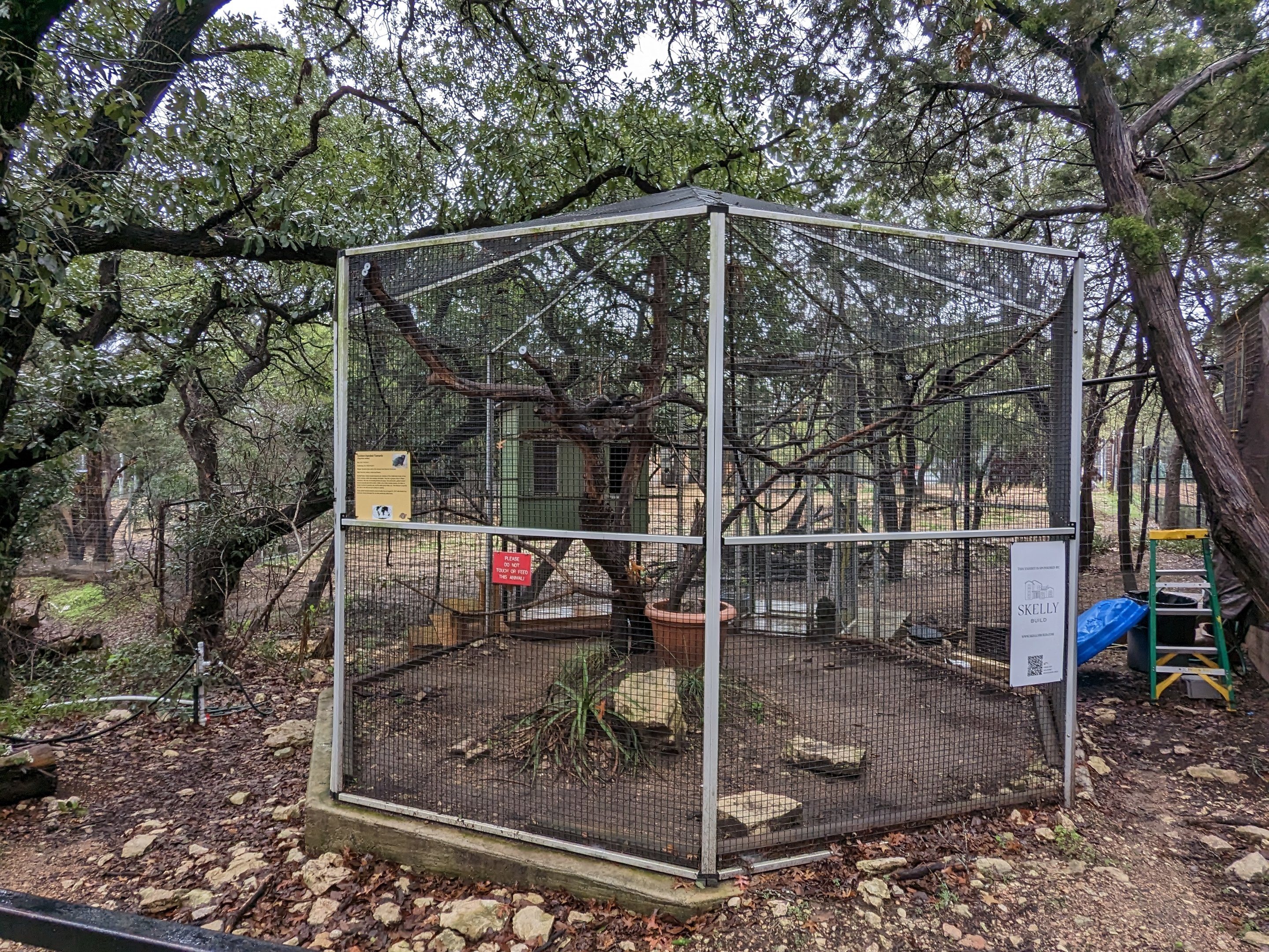 Yellow-handed tamarin cage