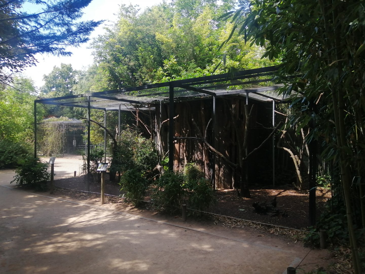 Yellow-headed Amazon Aviary