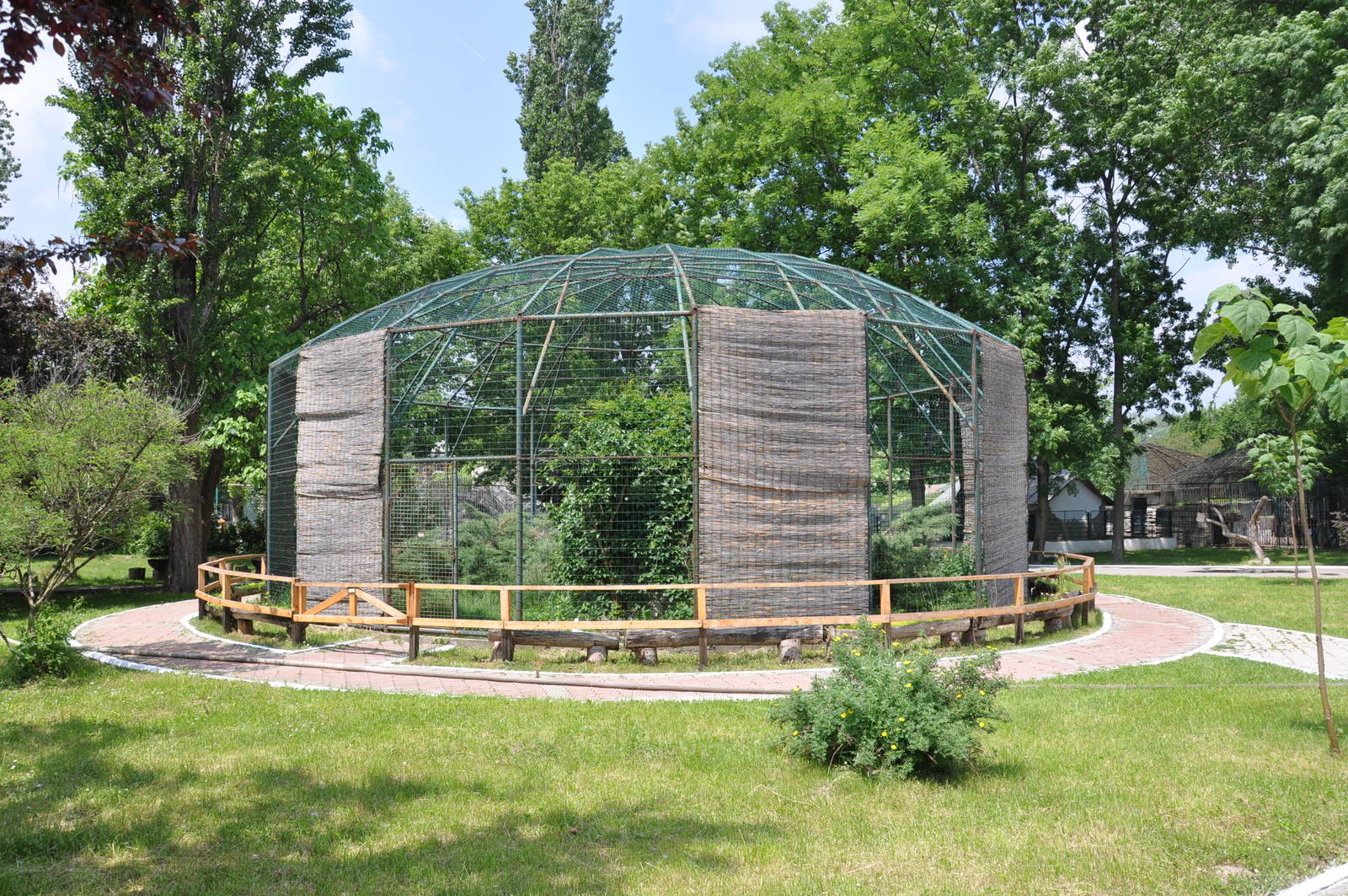 Yellow-legged gull enclosure