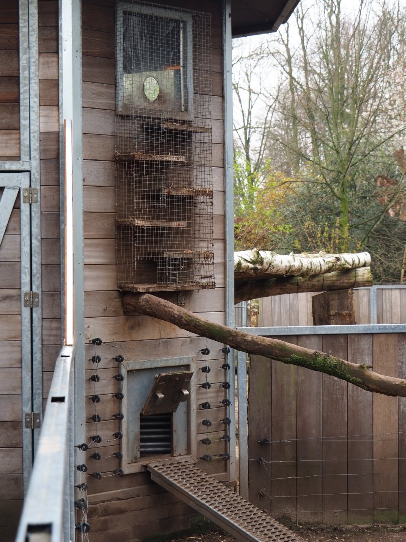 Yellow mongoose and Indian crested porcupine indoor access structures, 2019-04-06