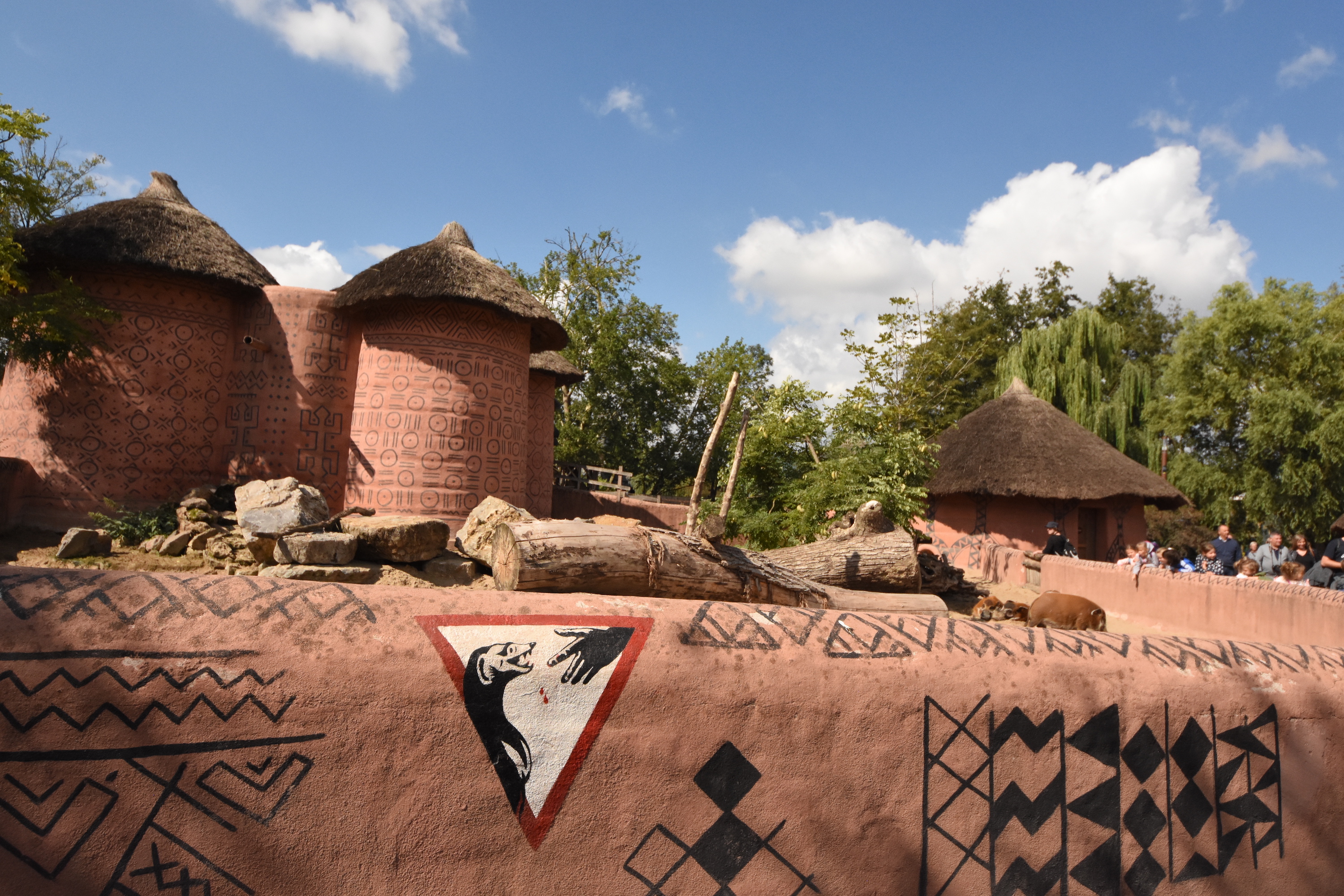 Yellow mongoose and Red river hog enclosure