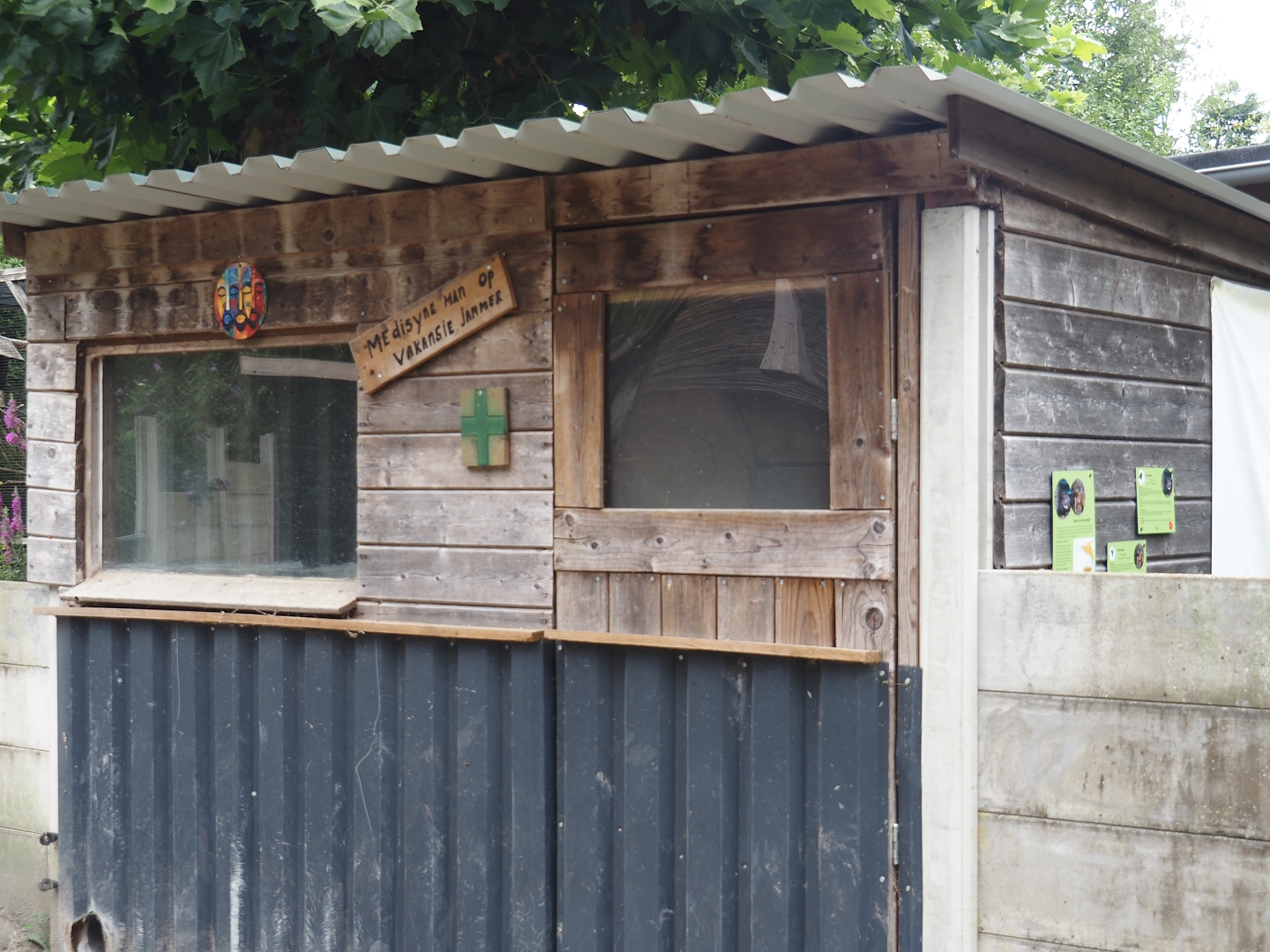 Yellow mongoose barn, 2025-08-17