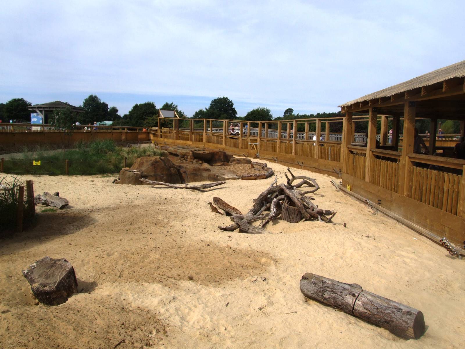 Yellow Mongoose Enclosure at Woburn, 01/09/13