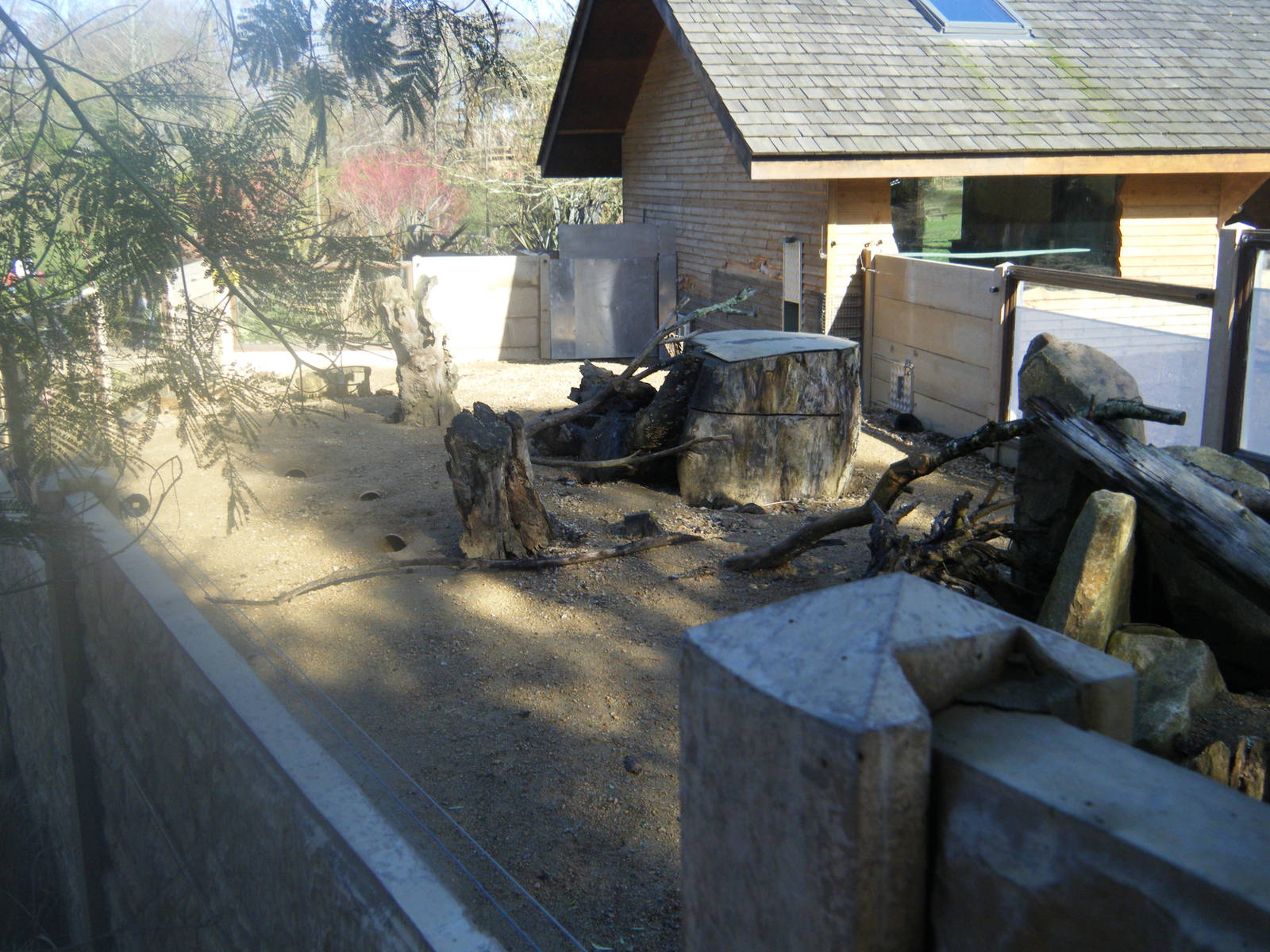 Yellow Mongoose Enclosure