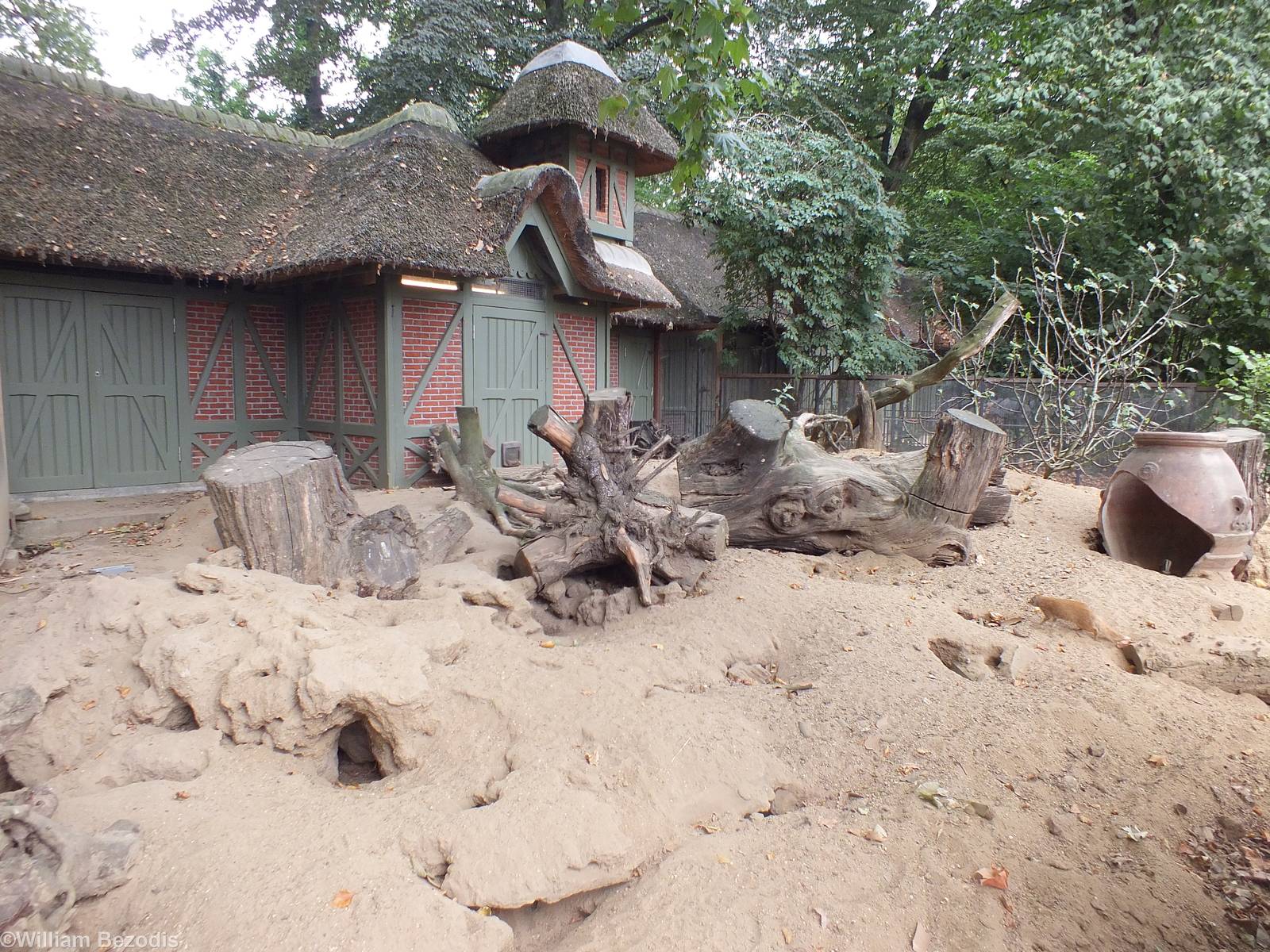 Yellow Mongoose Enclosure