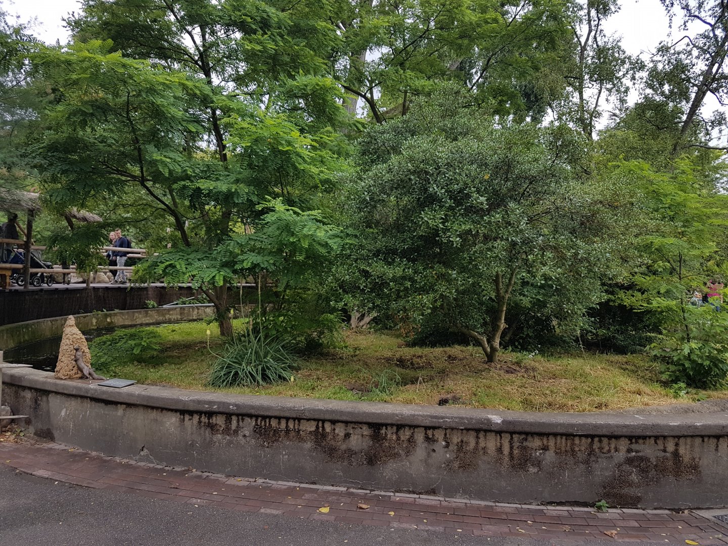 Yellow mongoose-enclosure