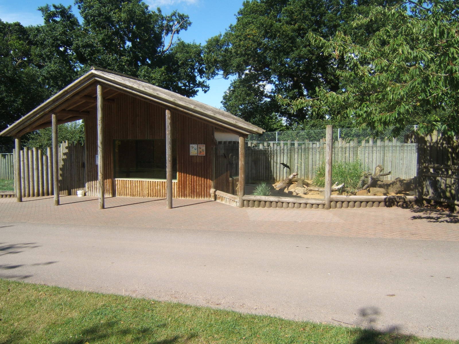 Yellow Mongoose exhibit and house