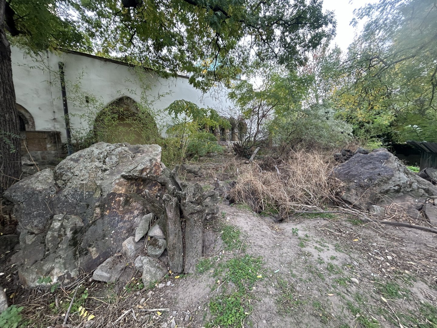 Yellow Mongoose Exhibit - Elephant House