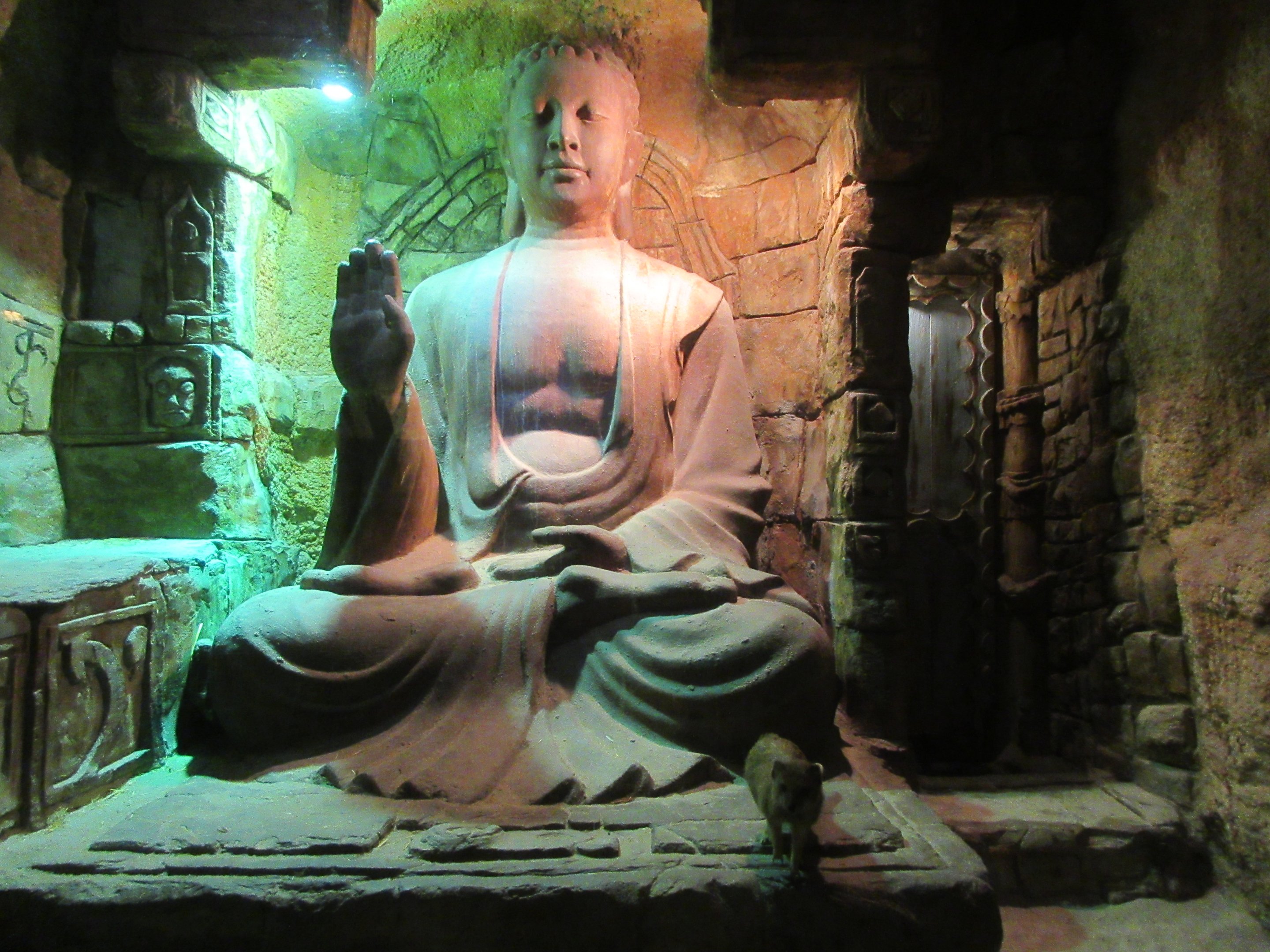 Yellow Mongoose Exhibit