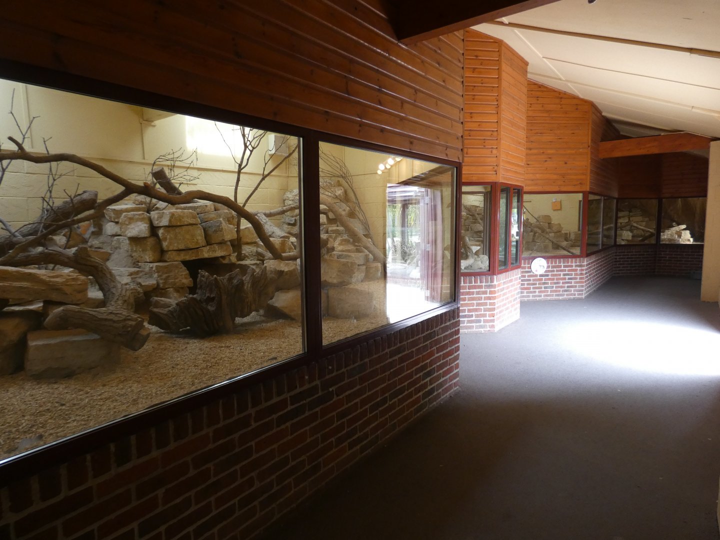 Yellow mongoose house