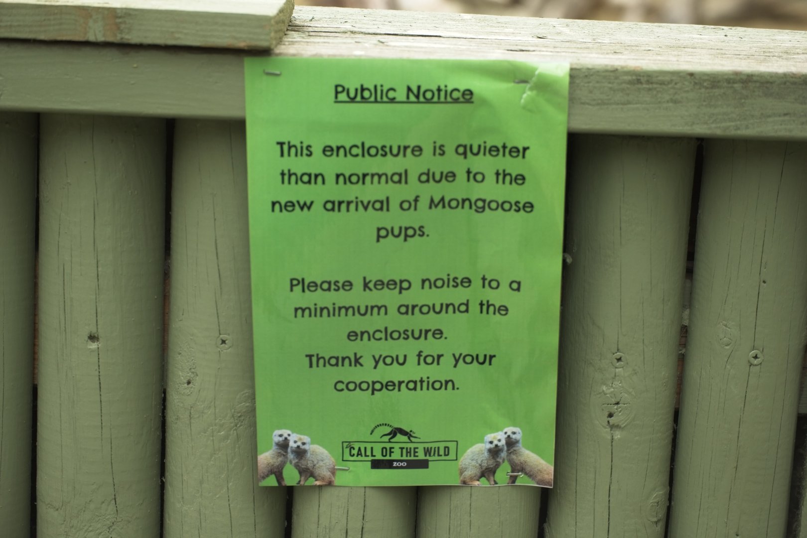 Yellow Mongoose Sign.