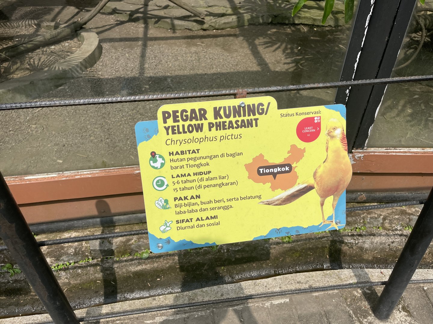 yellow pheasant signage