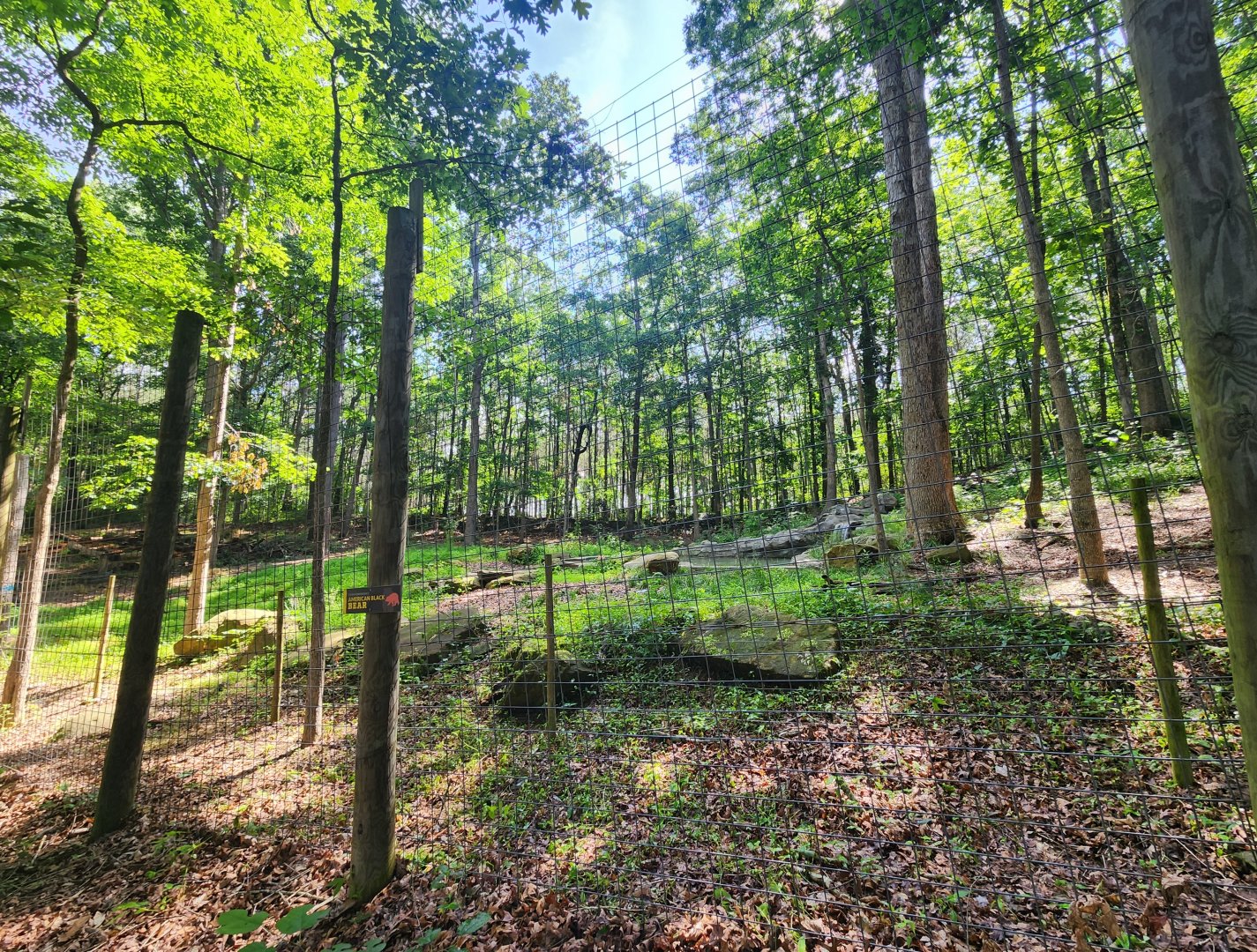 Yellow River Wildlife Sanctuary - American Black Bear enclosure