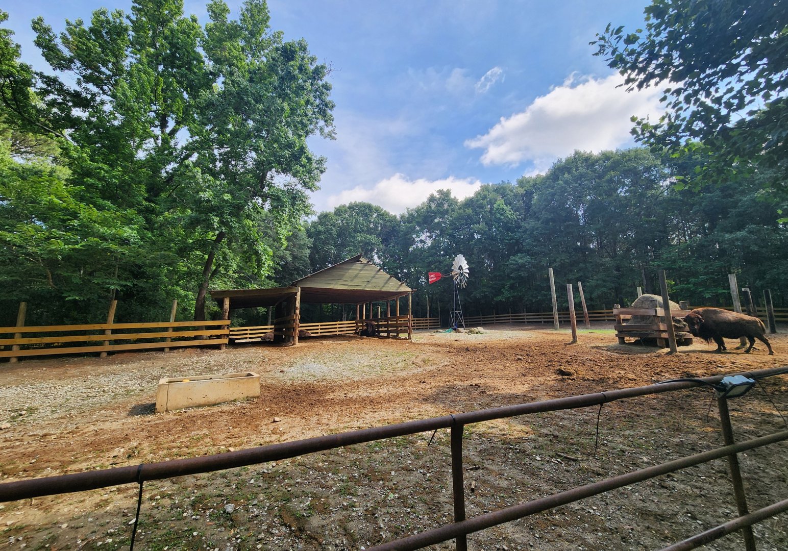 Yellow River Wildlife Sanctuary - Bison yard