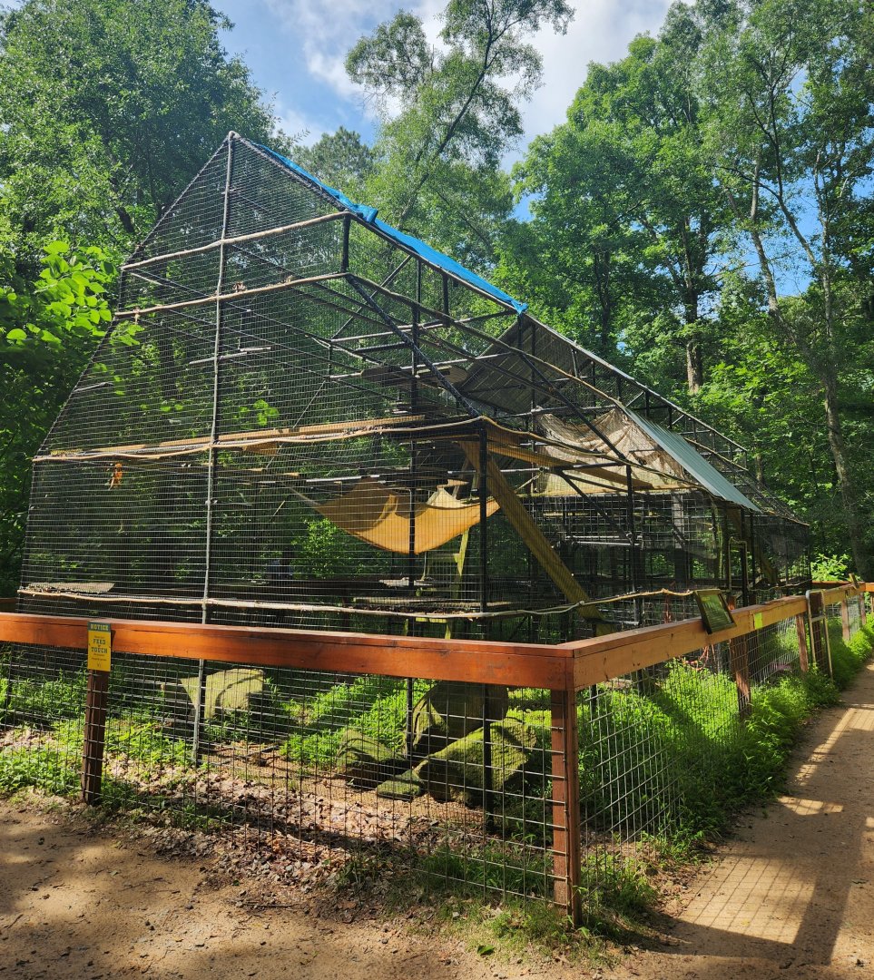 Yellow River Wildlife Sanctuary - Cat exhibits