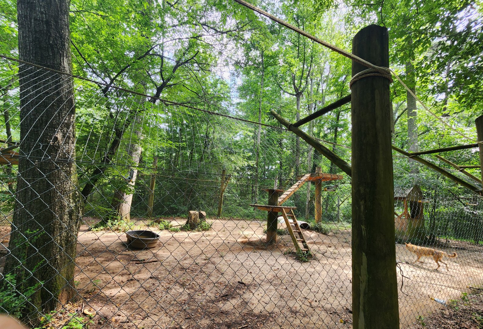 Yellow River Wildlife Sanctuary - Coyote enclosure