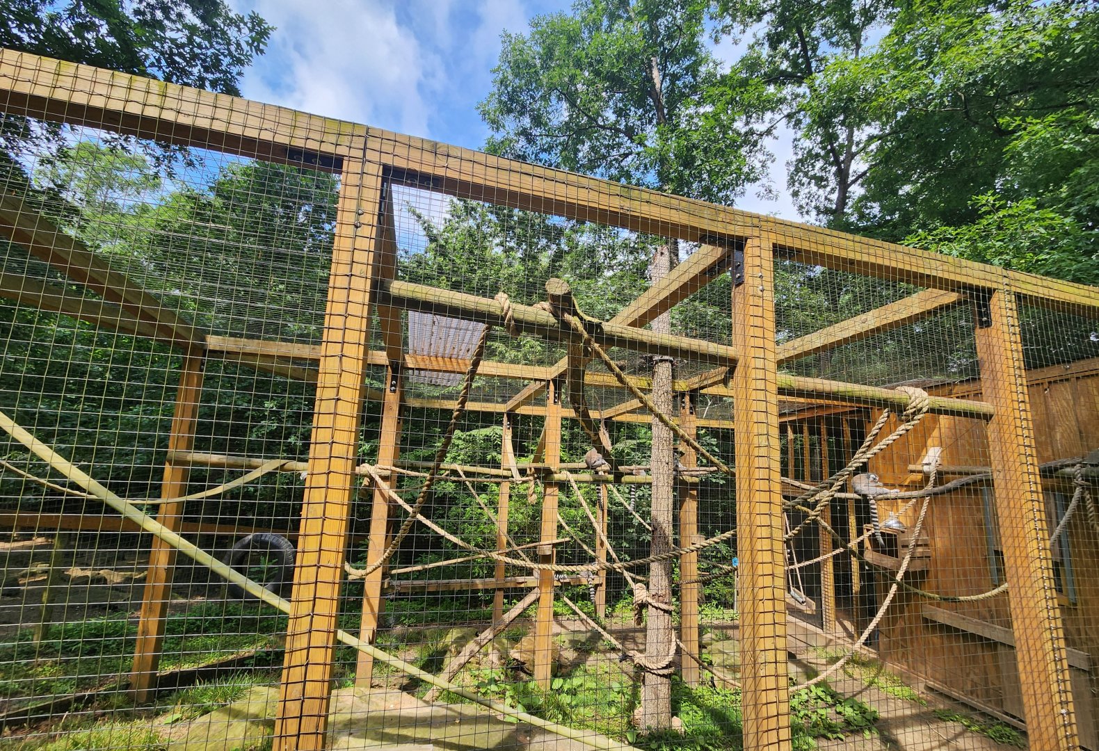 Yellow River Wildlife Sanctuary - Lemur enclosure
